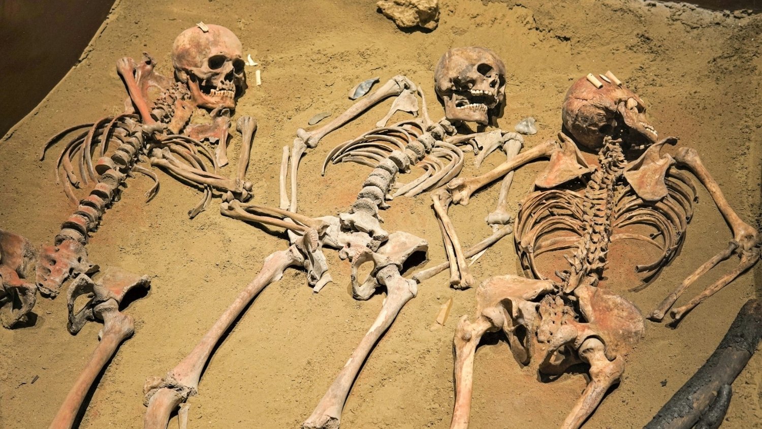 Trans Skeletons and “Just So Stories”