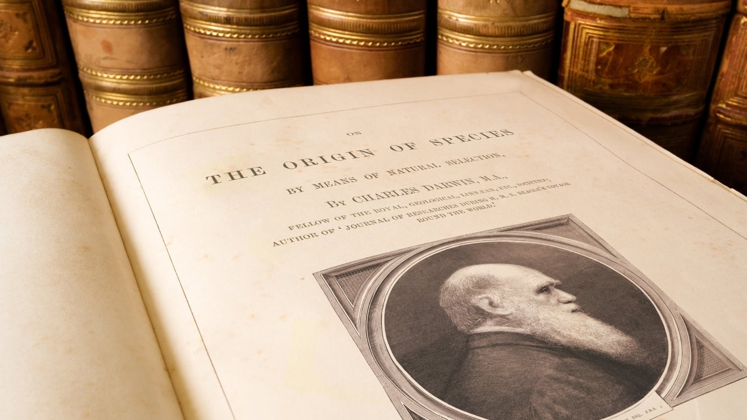 Darwin’s Horrid Doubt