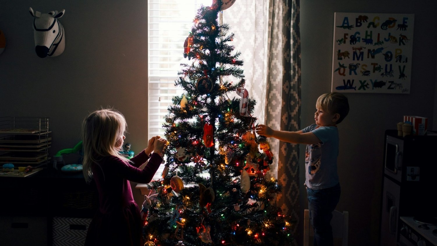 Cultivating Christmas Wonder