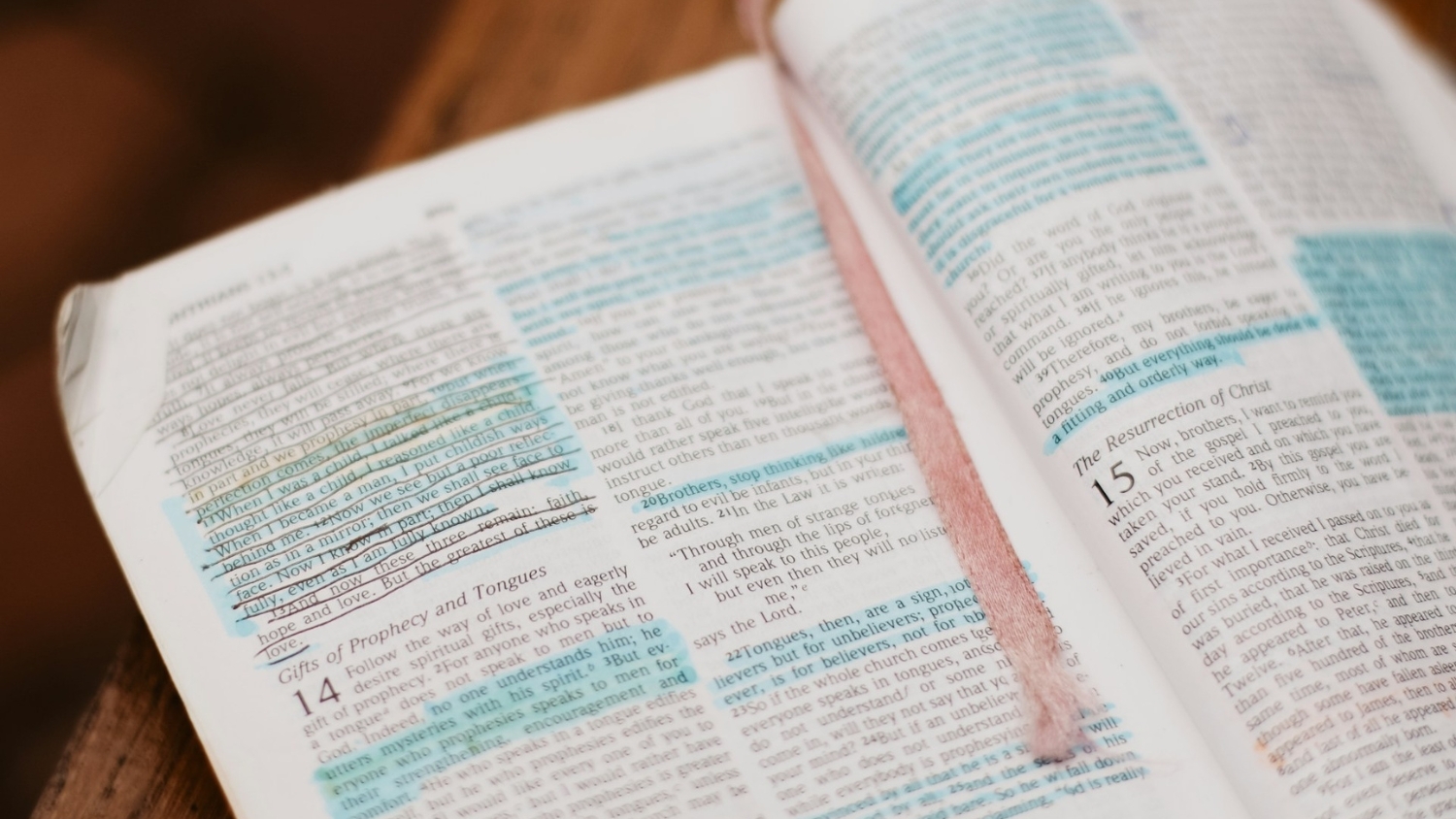 Study Bibles are Not Enough