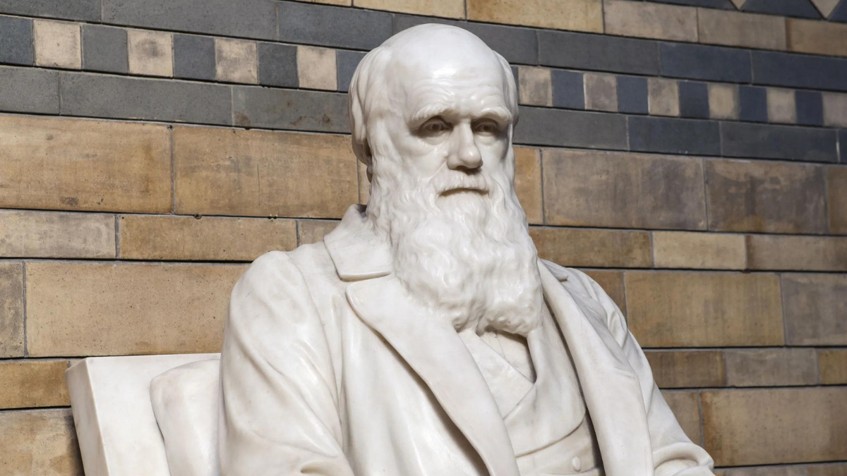 Darwinizing the Universe: A Theory That Explains Everything Explains Nothing